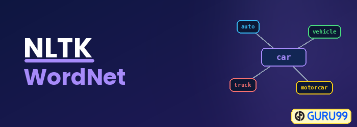 NLTK WordNet