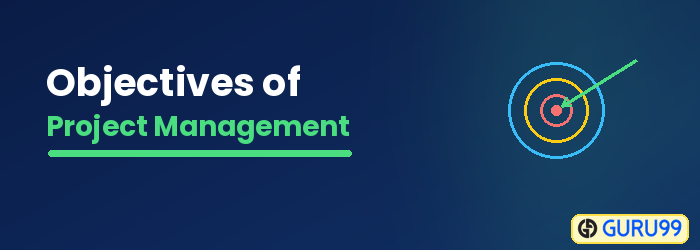 Objectives of Project Management