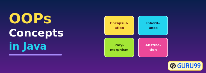 OOP Concepts in Java