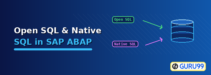 Open SQL and Native SQL in SAP ABAP