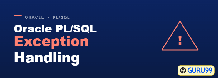 Exception Handling in Oracle PL/SQL