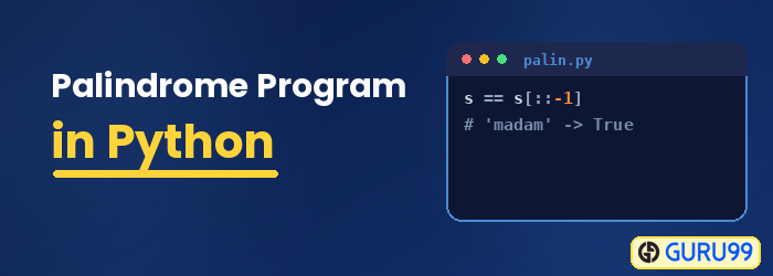 Palindrom-Programm in Python