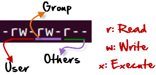File Permissions in Linux/Unix