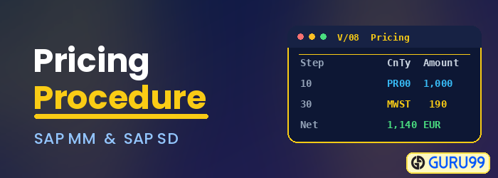 Pricing Procedure in SAP MM and SAP SD