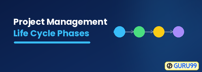 Project Management Life Cycle Phases