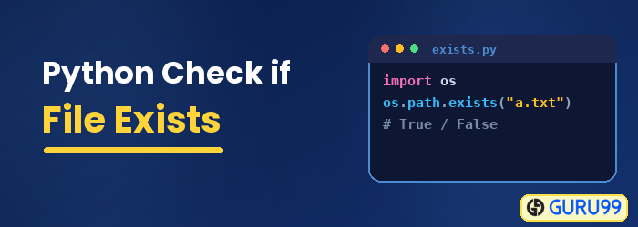 Python Check if File Exists