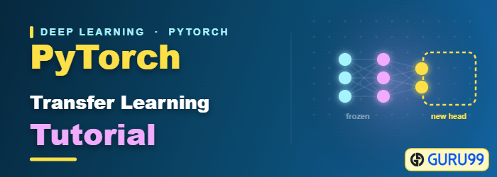 PyTorch Transfer Learning tutorial with worked examples