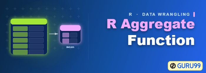 R Aggregate Function