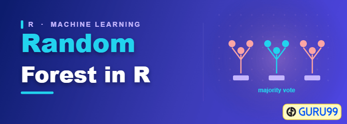 Random Forest in R