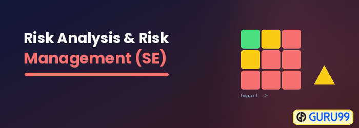 Risk Analysis and Risk Management in Software Engineering