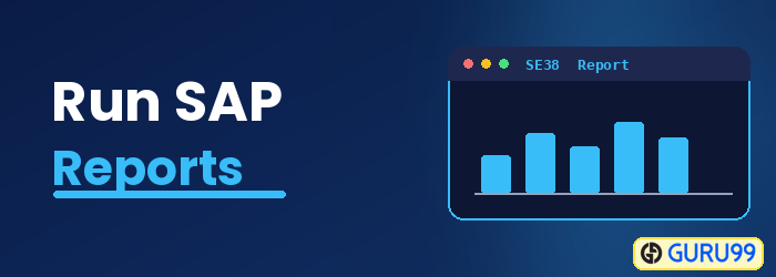 Run SAP Reports with SA38 and Selection Screens
