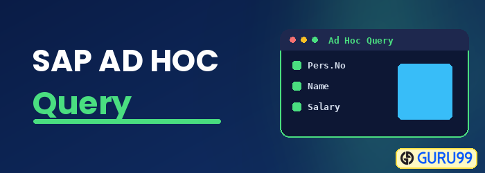 SAP Ad Hoc Query Tutorial