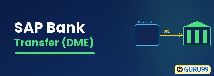Bank Transfer using SAP DME File
