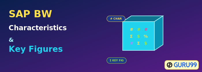 SAP BW Characteristics and Key Figures