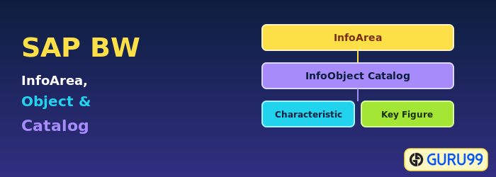 SAP BW InfoArea, InfoObject and Catalog