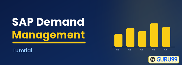 SAP Demand Management Tutorial