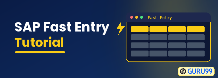 SAP Fast Entry Tutorial