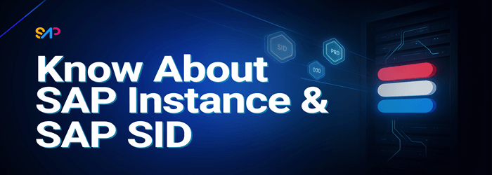 What is SAP Instance & SAP SID?