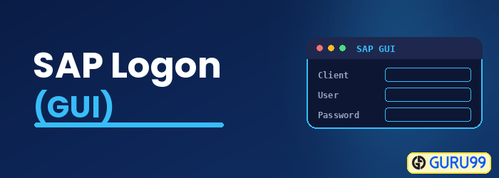 SAP GUI and SAP Logon Tutorial