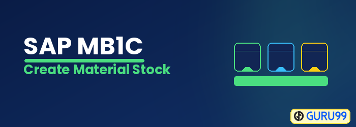 Create Material Stock in SAP using MB1C