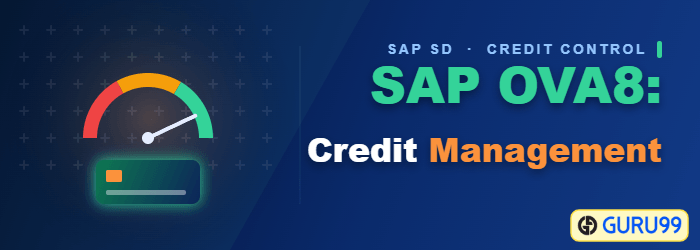 SAP Credit Management using OVA8