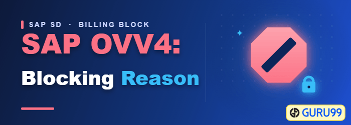 Define and Assign Blocking Reason in SAP OVV4
