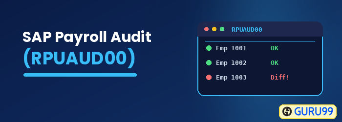 SAP Payroll Audit RPUAUD00