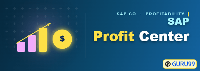SAP Računovodstvo profitnog centra