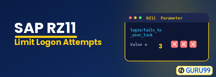 Limit Logon Attempts in SAP using RZ11