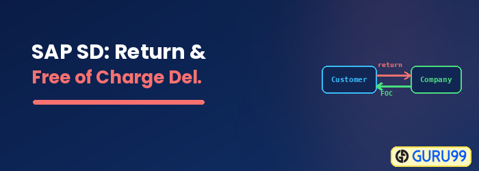 SAP SD Return and Free of Charge Delivery