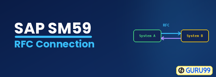 Configure and Test RFC Connection in SAP using SM59