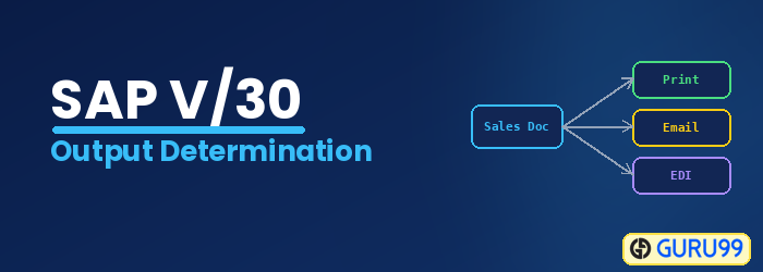 SAP Output Determination using the Condition Technique V/30