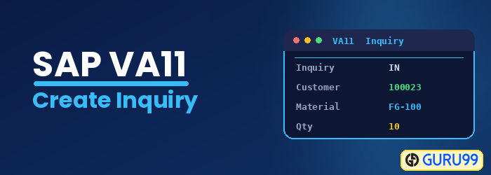 Create Inquiry in SAP using VA11