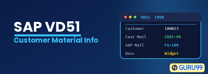 Customer Material Info Record in SAP using VD51