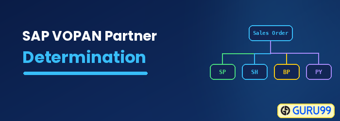 Partner Function and Partner Determination in SAP VOPAN