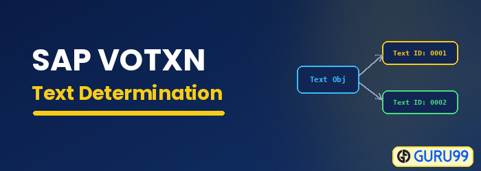 Text Determination for Sales Documents in SAP VOTXN