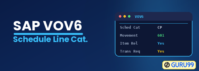 Schedule Line Category in SAP VOV6