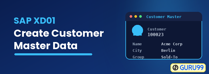 Create Customer Master Data: SAP XD01