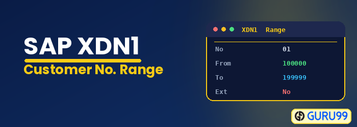 Create Customer Number Range in SAP with XDN1
