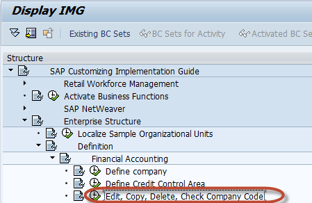 sap company code ledger assignment table