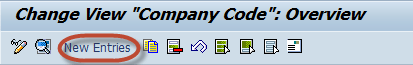 Define Company Code in SAP