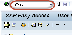 SAP Background Job Processing SM36: Creare, pianificare, riprogrammare