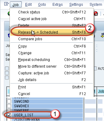SAP Background Job Processing SM36: Creare, pianificare,Riprogrammare