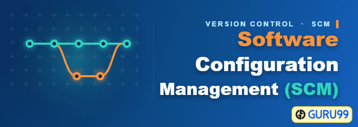 Software Configuration Management