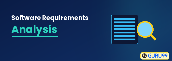 Software Requirements Analysis
