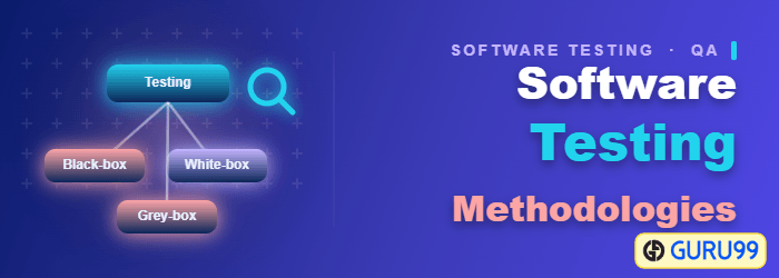 Metodologii de testare a software-ului