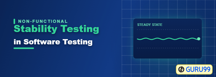 Stability Testing in Software Testing