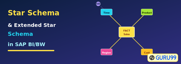 Star Schema and Extended Star Schema in SAP BI/BW