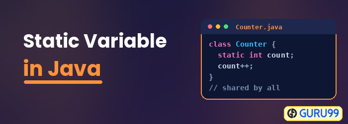 Static Variable in Java