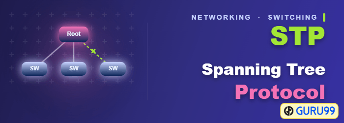 Spanning Tree Protocol (STP) Explained